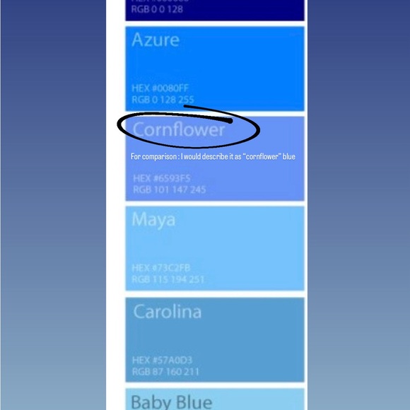 Zara Ribbed Blue Crop Top - Picture 4 of 4